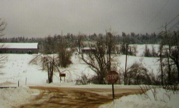 Post Ice Storm '98